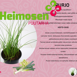 Muut hyötykasvit ja amppelit